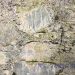 Granite – Safari Green close-min